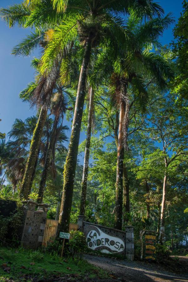 La Ponderosa Hotel Pavones  Luaran gambar